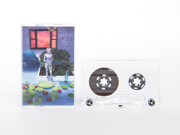 I Want The Door To Open